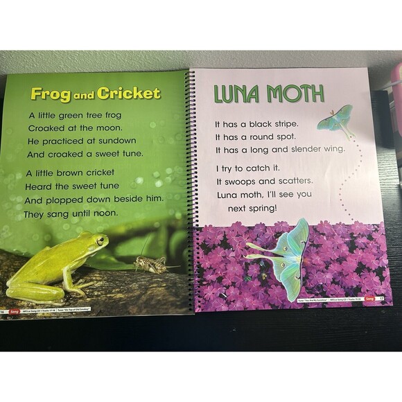 Oversized Book Sing With Me Phonics Songs Grade 2 Reach Into Phonics 17x22” kids - Picture 2 of 4